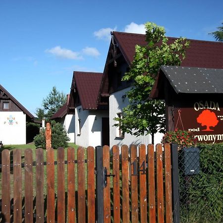 Вилла Osada Pod Czerwonym Debem - Czarny Mlyn Ястшембя-Гура Экстерьер фото