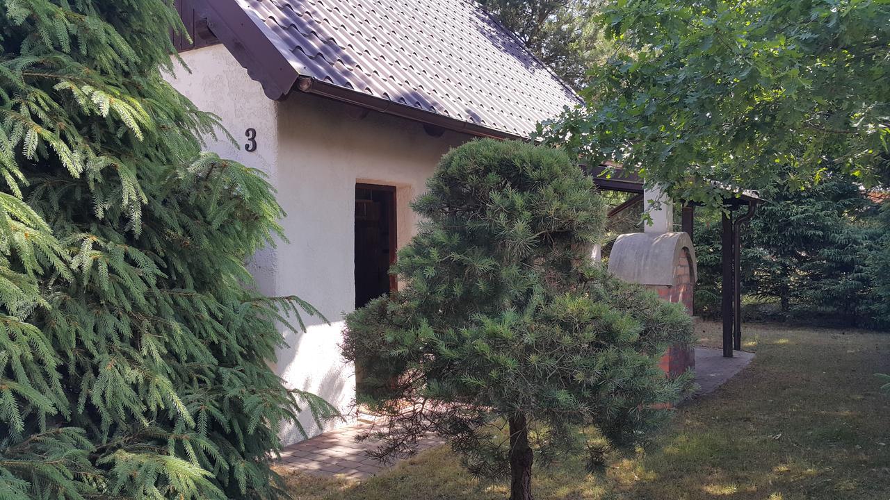 Вилла Osada Pod Czerwonym Debem - Czarny Mlyn Ястшембя-Гура Экстерьер фото